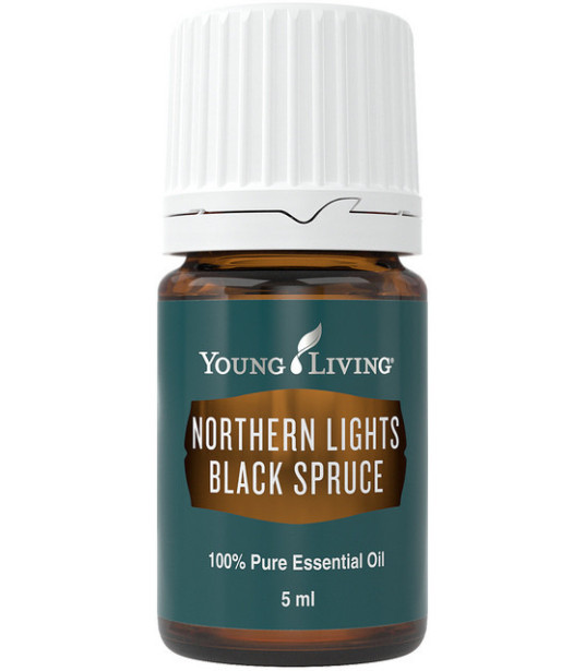 Schwarzfichte (Northern Lights Black Spruce ) 5ml - Young Living Young Living Essential Oils - 1
