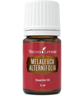 Young Living Tea Tree (Melaleuca Alternifolia) Young Living Essential Oils - 1
