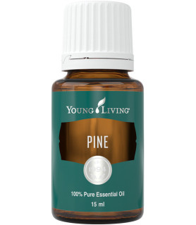 Kiefer (Pine) 15ml - Young Living Young Living Essential Oils - 1