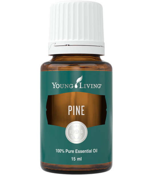 Kiefer (Pine) 15ml - Young Living Young Living Essential Oils - 1