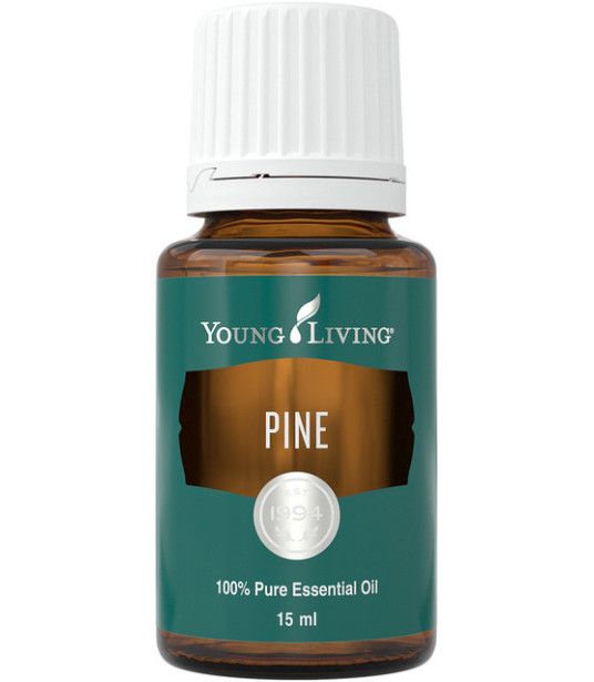 Young Living-Pine Young Living Essential Oils - 1 Young Living-Pine Young Living Essential Oils - 1