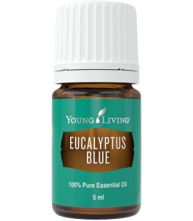 Eucalyptus Blue 5ml - Young Living Young Living Essential Oils - 1
