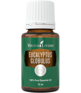 Young Living-Eucalyptus Globulus Young Living Essential Oils - 1