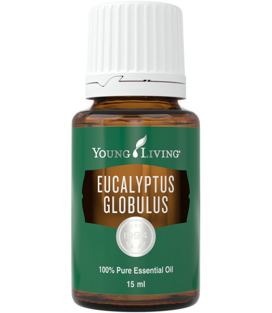 Eukalyptus Globulus 15ml - Young LIving Young Living Essential Oils - 1