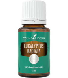 Eukalyptus Radiata 15ml - Young Living Young Living Essential Oils - 1