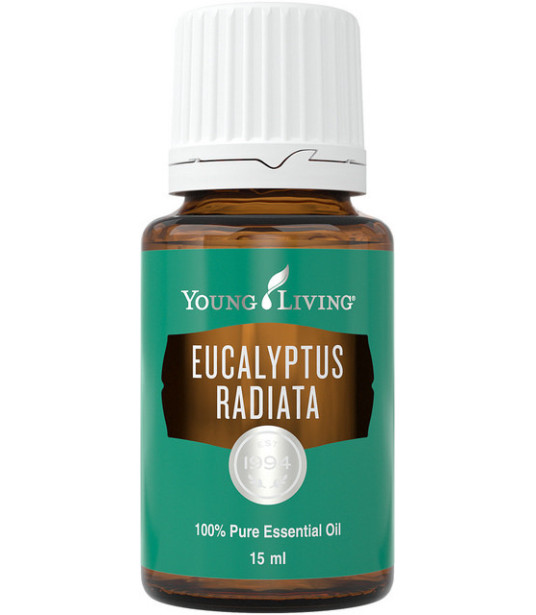 Young Living-Eucalyptus Radiata Young Living Essential Oils - 1
