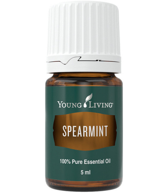 Spearmint - grüne Minze 5ml - Young Living Young Living Essential Oils - 1