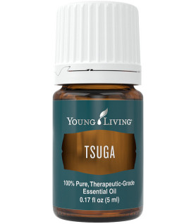 Tsuga - Hemlock Young Living Essential Oils - 1