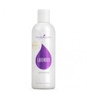 copy of Lavendel Bade- und Duschgel Young Living Essential Oils - 1
