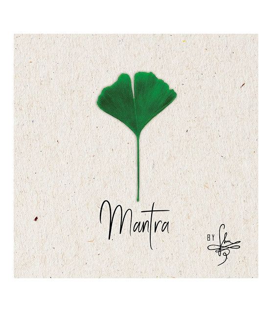 Mantra microSD Eicher Music - 1