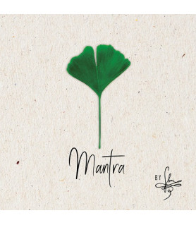 Mantra microSD Eicher Music - 1