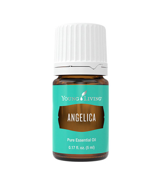 Angelica 5ml - Young Living Young Living Essential Oils - 2