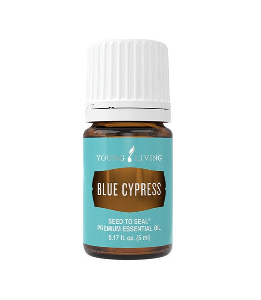 Blue Cypress 5ml - Young Living Young Living Essential Oils - 2