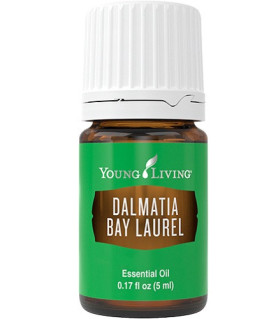 Dalmatia Bay Laurel - Young Living Young Living Essential Oils - 1