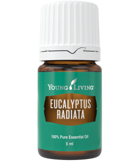 Eucalyptus Radiata 5 ml - Young LIving Young Living Essential Oils - 1