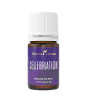 Celebration 5ml - Young Living Young Living Essential Oils - 1