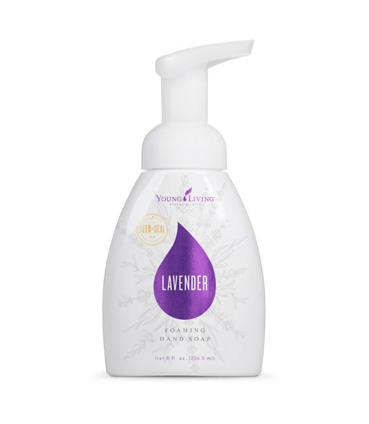 Lavendel Seifenschaum - Young Living Essential Oil Young Living Essential Oils - 1 Lavendel Seifenschaum - Young Living Essential Oil Young Living Essential Oils - 1