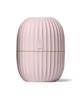 Cactus Diffuser - Young Living limited Edition  - 1