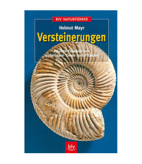 Versteinerungen: Häufige Fossilien von wirbellosen Tieren und Pflanzen (BLV Naturführer), Helmut Mayr  - 1